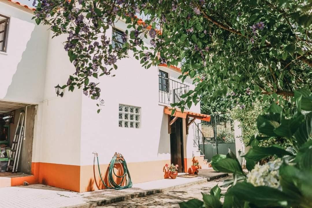 피게이로 두스 비뉴스 Casa Da Milharica 빌라 외부 사진